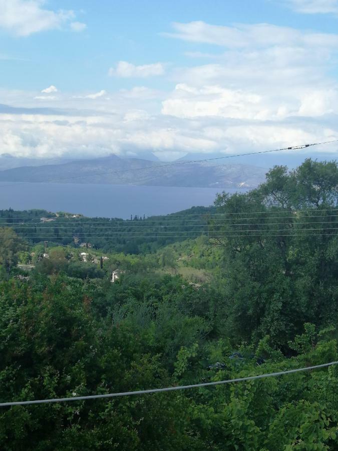 Olive Grove Deluxe Apartment Agnítsini Екстериор снимка