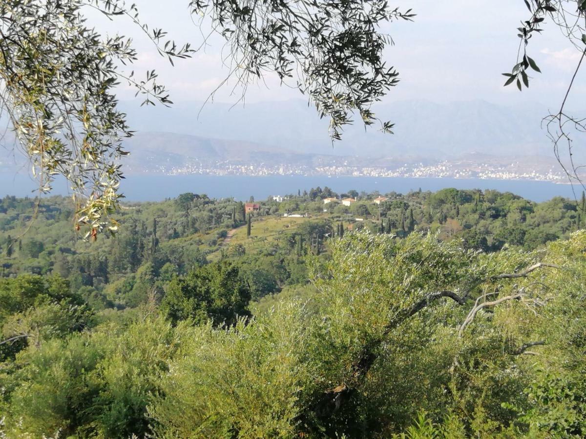 Olive Grove Deluxe Apartment Agnítsini Екстериор снимка