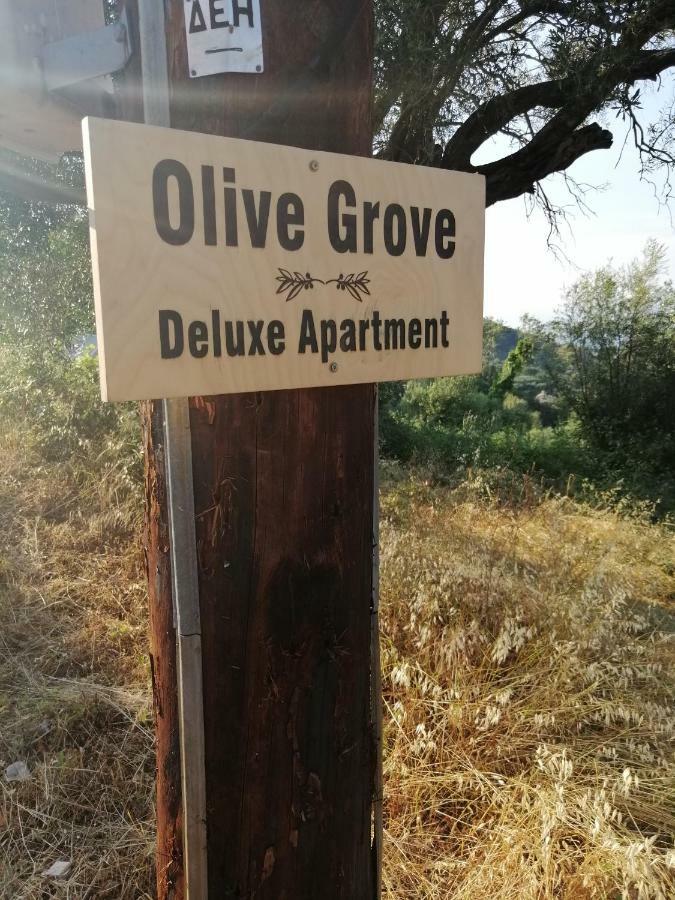 Olive Grove Deluxe Apartment Agnítsini Екстериор снимка